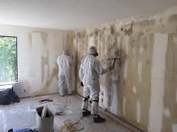 Best Residential Mold Inspection & Testing  in Ashton, ID